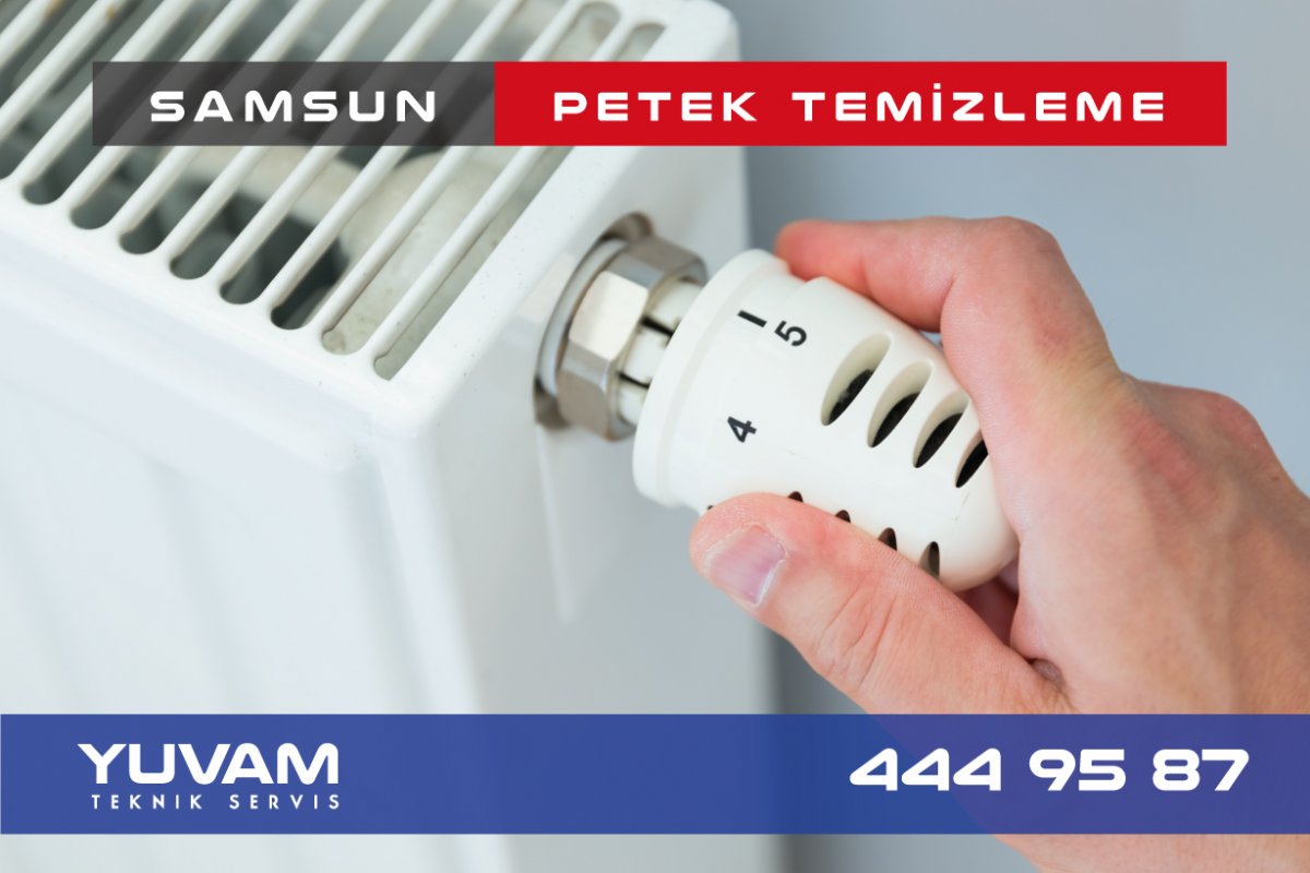 Samsun Petek Temizleme Servisi